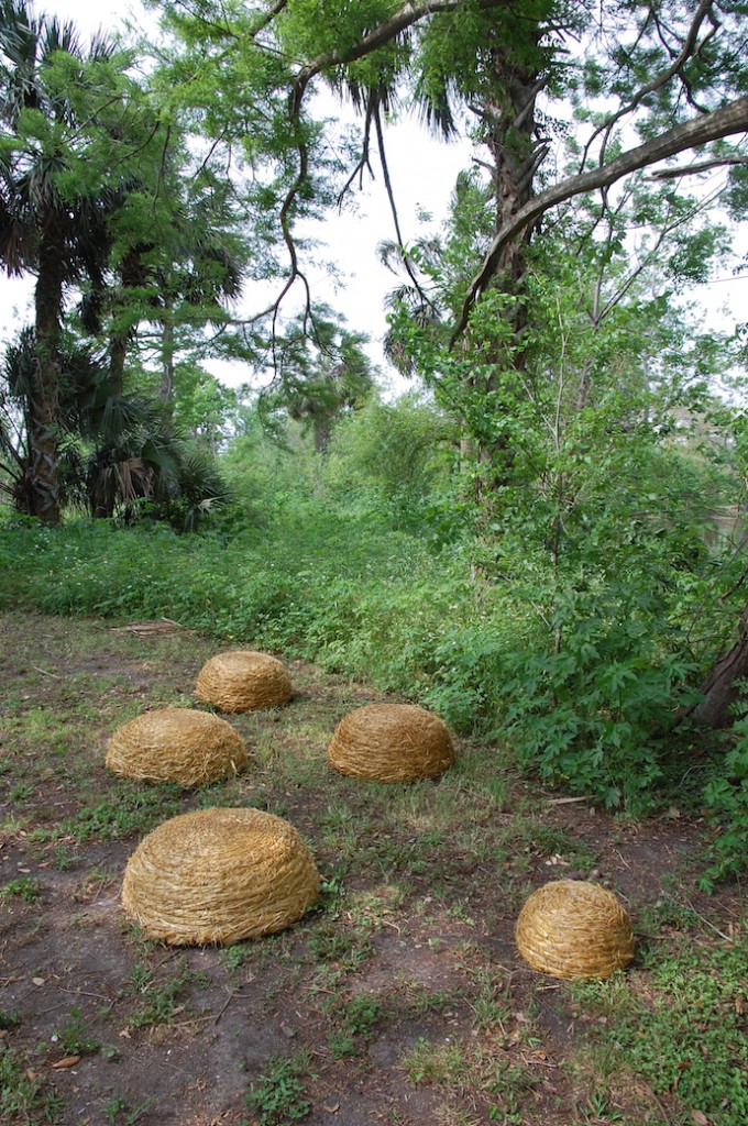 Mushroom inoculated sculptures sited by the bayou
